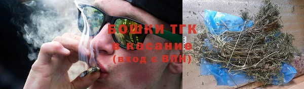 тгк Галич