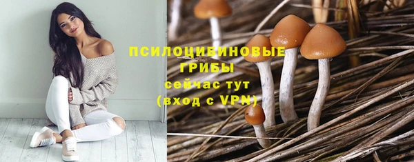 бутират Михайловка