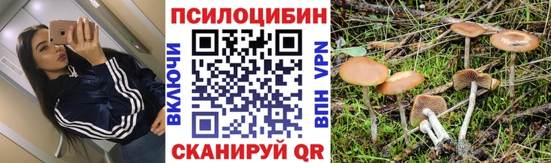 Галлюциногенные грибы Magic Shrooms  Кемерово 
