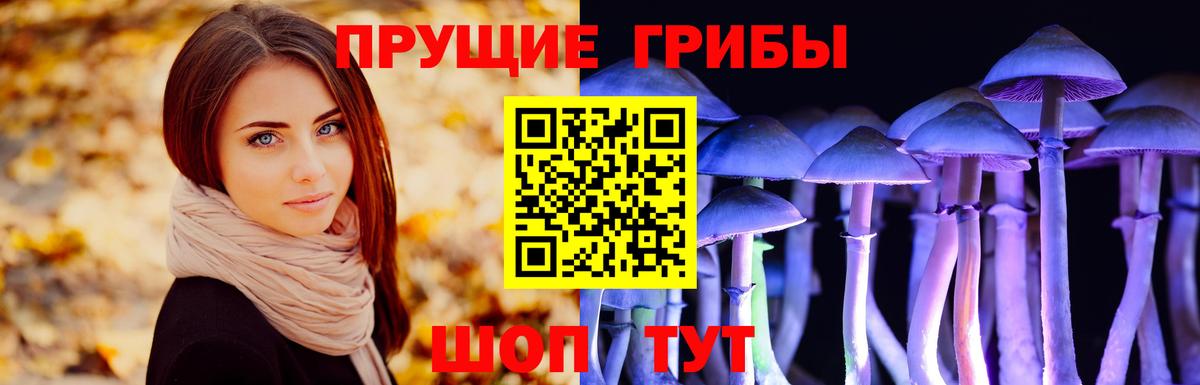 Галлюциногенные грибы Magic Shrooms  купить наркотики сайты  Россия  Вход с VPN 